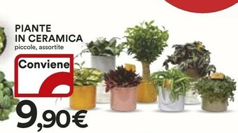 Coop Piante offerta