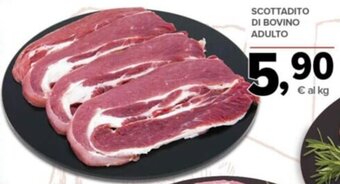 Todis Scottadito di bovino adulto offerta