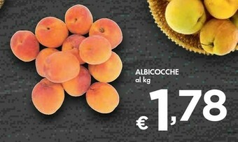 Bennet Albicocche offerta
