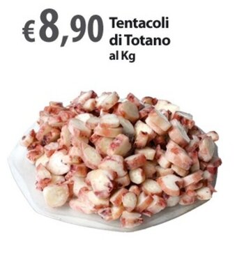 Tentacoli di Totano al Kg