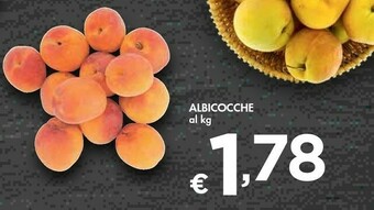 Bennet Albicocche offerta