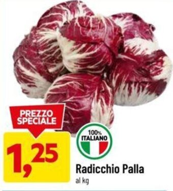 DPiù Radicchio Palla offerta