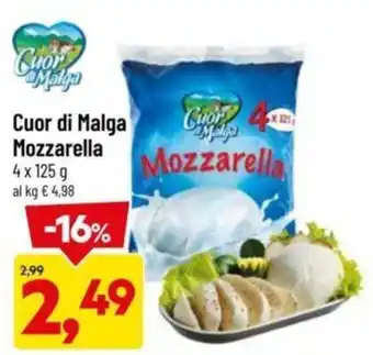 DPiù Cuori di Malga Mozzarella 4 x 125 g offerta