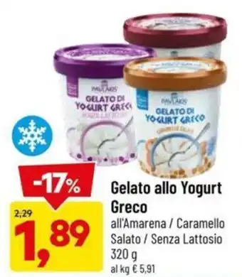 DPiù Gelato allo Yogurt Greco 320 g offerta