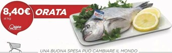 Coop Coop Orata offerta