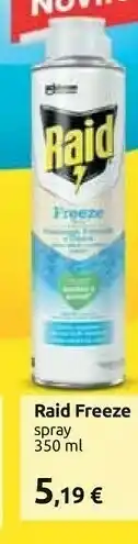 Carrefour Raid Freeze Spray offerta