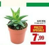 Iperal Aloe Vera offerta