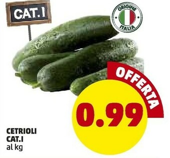 PENNY Cetrioli offerta