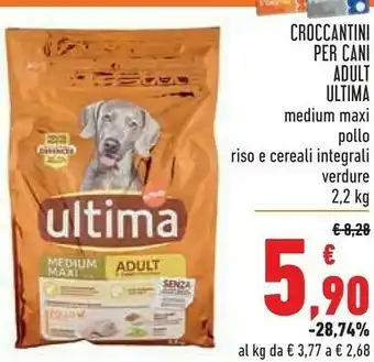 Conad Superstore Ultima Cibo per cani offerta