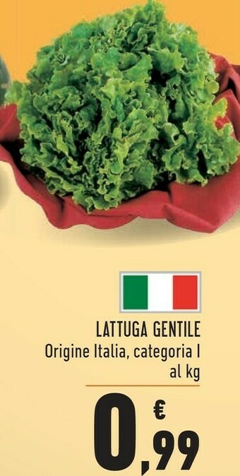 Conad Superstore Lattuga offerta
