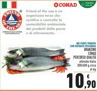 Conad Branzino offerta