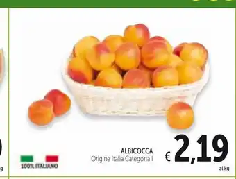 Spazio Conad Albicocca offerta