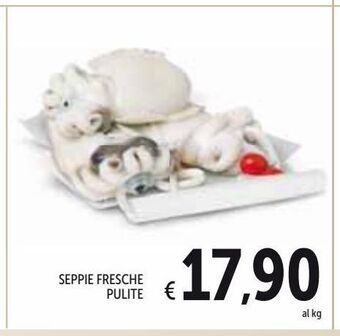 Spazio Conad Seppie fresche pulite offerta