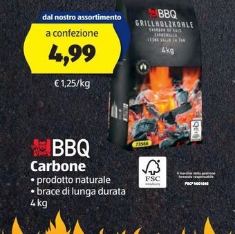 ALDI Bbq carbone offerta