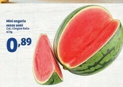 In'S Mercato Mini Anguria Senza Semi offerta