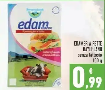 Bayernland Edamer Senza Lattosio 100 G(ml)