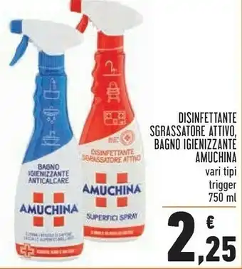 Conad Amuchina Disinfettante Sgrassatore Attivo offerta