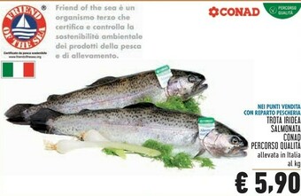 Conad Superstore Conad Trota Iridea Salmonata offerta