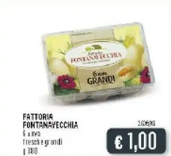 Deco Supermercati Fattoria fontanavecchia 6 Uova Fresche Grandi offerta