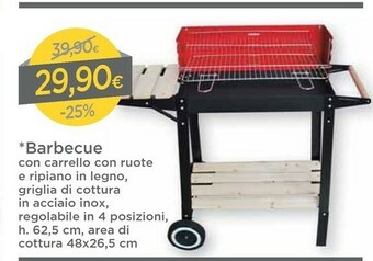DPiù Barbecue offerta