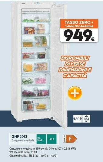 Expert Liebherr GNP 3013-21 Congelatore Libera Installazione Verticale Bianco 257 L A++ offerta