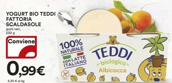 Ipercoop Scaldasole Yogurt offerta