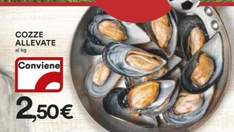 Ipercoop Cozze offerta