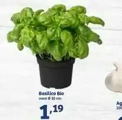 In'S Mercato In's Mercato Basilico Bio offerta
