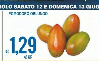 MD Discount Pomodoro Oblungo offerta