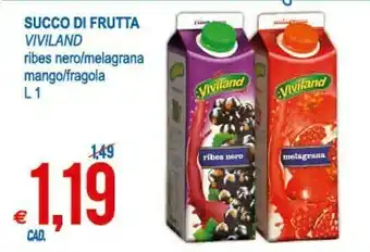 MD Discount Viviland Ribes Nero 1000 G(ml) offerta