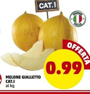 PENNY Melone Gialletto offerta