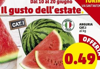 PENNY Anguria offerta