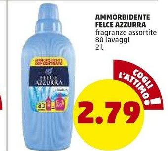 PENNY Felce Azzurra Ammorbidente offerta
