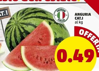 PENNY Anguria offerta