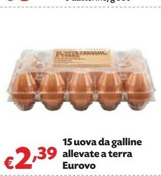 Pam Eurovo 15 Uova Da Galline Allevate A Terra offerta