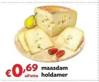 Maasdam Holdamer