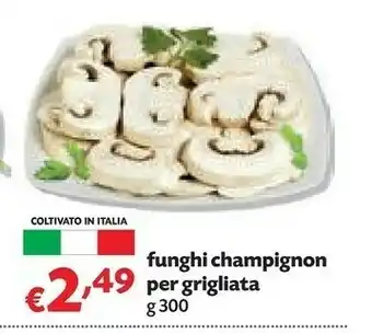 Pam Funghi Champignon Per Griglita offerta