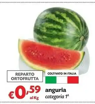Pam Pam & Panorama Anguria offerta