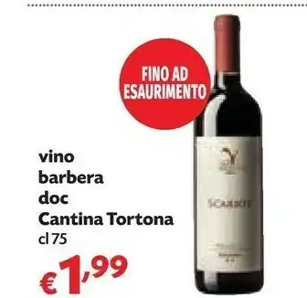 Pam Barbera Cantina Tortona Vino Doc offerta
