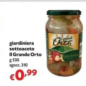 Pam Il grande orto Cetriolini 310 G(ml) offerta