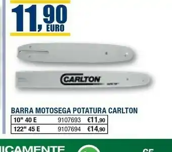 Self Motosega offerta
