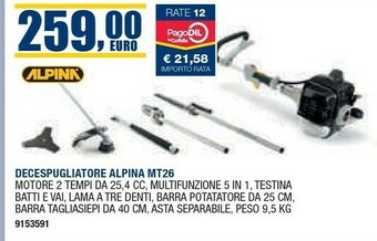 Self Decespugliatore offerta