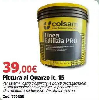 Brico Io Colsam Pittura Al Quarzo Lt. 15 offerta