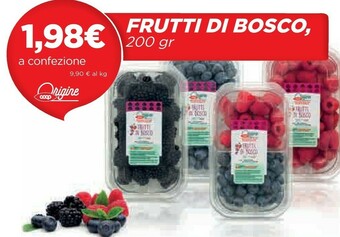 Coop Frutti Di Bosco 200 Gr offerta