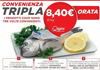 Coop Orata offerta