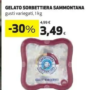 Coop Sammontana Sammontana  Gelato Sorbettiera 1kg offerta