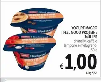 Spazio Conad Yogurt magro i feel good proteine muller offerta