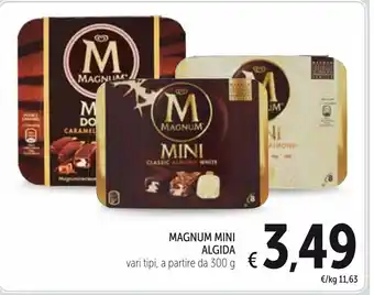 Spazio Conad Magnum mini algida offerta