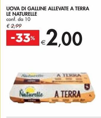 Bennet Uova di galline allevate a terra le naturelle offerta