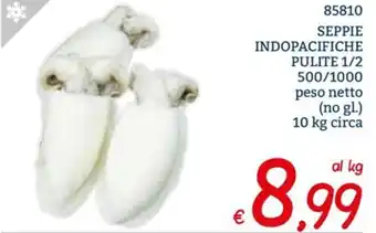 Zona Seppie Indopacifiche pulite 1/2 500/1000 peso netto (no gl.) 10 kg circa offerta